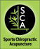 Sports Chiropractic Acupuncture